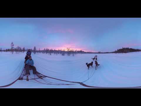 Dog sled in Arjeplog Sweden with Cold Nose Huskies
