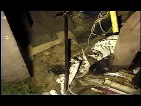 The Ungrateful Dead Trailer #2