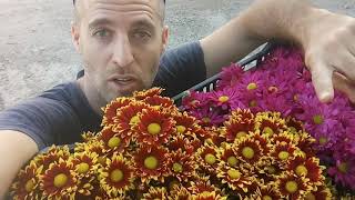 עכשיו דואגים לחורף פורח