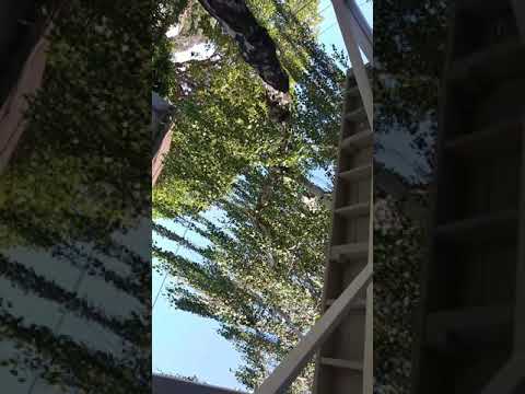 ATB my everything💏