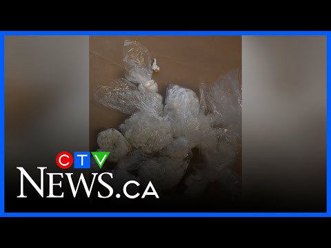 3 men face drug charges after west Edmonton bust