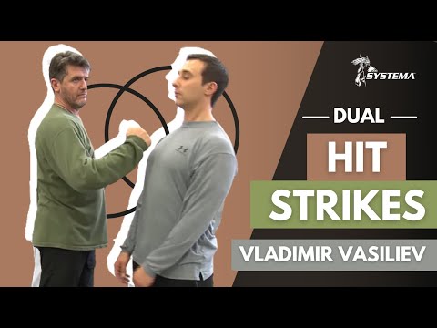 Dual-Hit Strikes Systema by Vladimir Vasiliev Russian Martial Art.