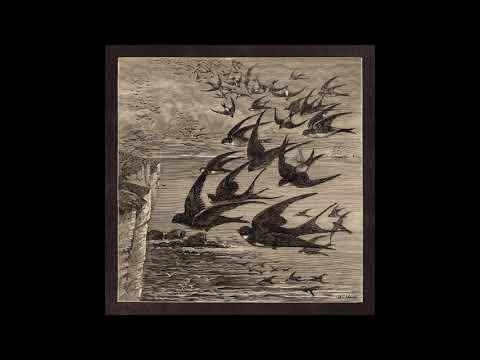 Neutral Milk Hotel - Little Birds 7"