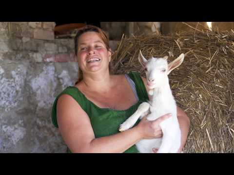 Kecskevilág, Törökbálint