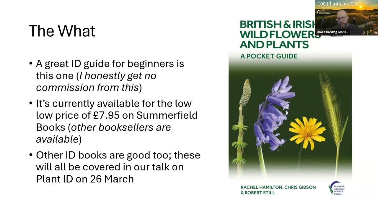 Recording For Beginners: Getting started with plant recording for the 100 Plants in 2026 challenge