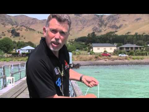 How to Get Your Kids Catching Fish Wharf Fishing