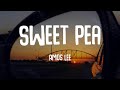 Amos Lee - Sweet Pea (Lyrics)