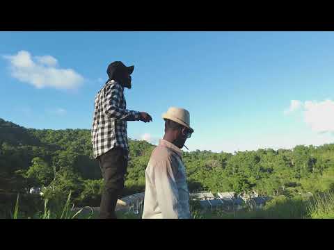 FreshBoss,Steady,MadDan - Upness (Official Video)