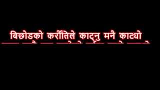 Download lagu बिछोडको करौँतिले काट्नु मनै काट्यो !!  LYRIC VIDEO-HD mp3