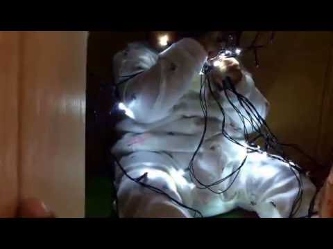 Gingerbread house for Vaani- Dhwani wishes her a happy 9 month