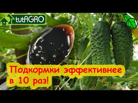 ВСЕ ПОДКОРМКИ ЭФФЕКТИВНЕЕ СРАЗУ В 10 РАЗ! Всего 1 ложка средства Гелиос из созвездия BioDSO.