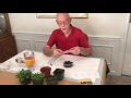 Sowing African Violet Seeds