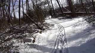 Riding around Salisbury, MD in the aftermath of the Mid-Atlantic snow storm of 1/29/2014. Lots of things to do. Dogs, Snow & GPS Art, Snow in the Wind, and helping stranded motorists. Most of the ride takes part on the trials of Pemberton Historical Park where there are miles of trials to explore.