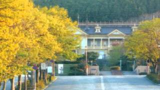 Bài hát 残り火 - Nghệ sĩ trình bày Mayumi Itsuwa