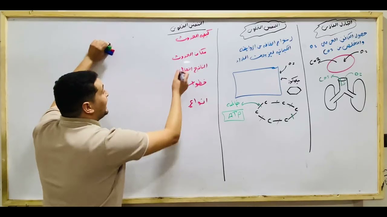 شرح مقدمة التنفس الخلوي والميتوكوندريا والتبادل الغازي