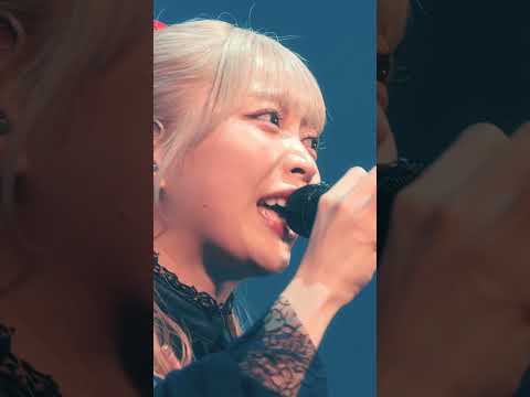 ササル / Ringwanderung Live at KT Zepp Yokohama (2025.09.06) #Ringwanderung #live #idol #アイドル  #ライブ
