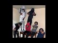 FREE 9BMEECHIE X Shuno Wick Type Beat Brothers