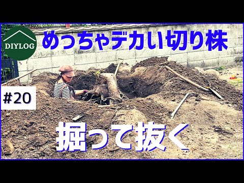 彫刻-木の根-切り株-枯れ木-デコ-ガーデン