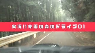 実況!!豪雨の森のドライブー01ー