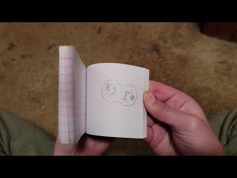 Mitosis Flip Book