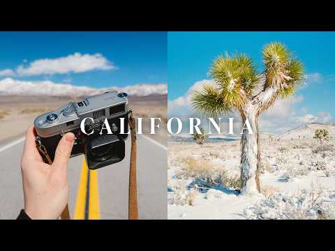 The photography road trip I always dreamt of thumbnail