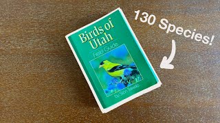 Can I See 130 Bird Species in Utah This Year???