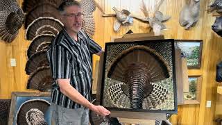 Feather Art Studio Tour and New Designs