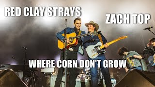 The Red Clay Strays &amp; Zach Top - Where Corn Don&#39;t Grow (cover)