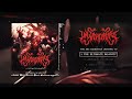 UNLEASH CARNAGE - THE ULTIMATE INSANITY [OFFICIAL EP STREAM] (2023) SW EXCLUSIVE
