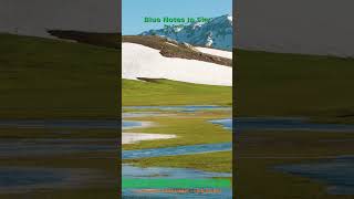 Miniature YouTube : Blue Notes In Sky | Musique Ambiante & Relaxation par Soochrys