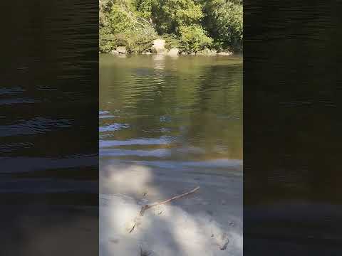 #jungle #jungla ORITO PUTUMAYO PARAISO ESCONDIDO DE COLOMBIA