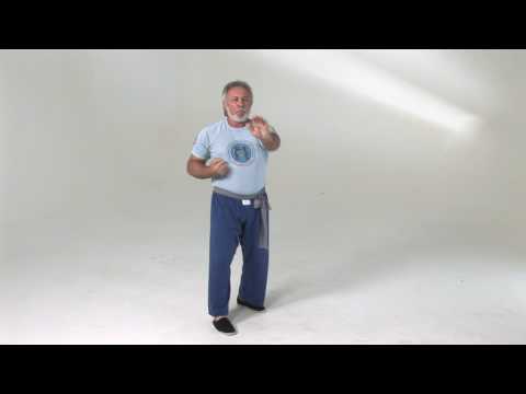Wing Chun's Chum Kiu Form (HD)