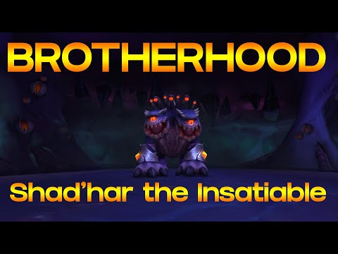 Shad'har the Insatiable - Mythic Ny'alotha - Resto Shaman