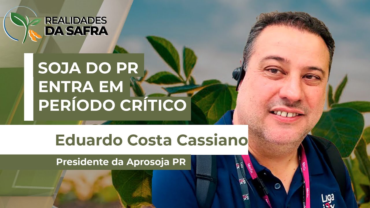 Safra de soja entra no período crítico para definir produtividade no Paraná