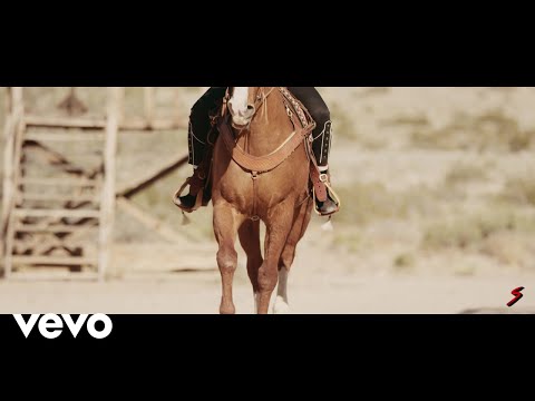 poodeezy - Gang (Official Video) video edit