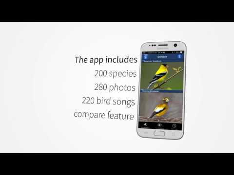 Bird Id North America Video