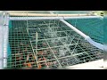 Pembesaran Ikan Air Tawar Dan Bioponik