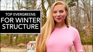 The Evergreen Anchors and Winter Interest Of My Southern Garden