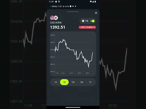 Forex currency converter