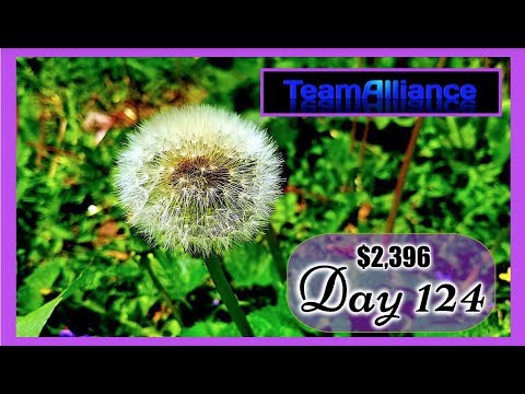 ➡️ $2,396 Made in 124 DAYS with NADEX Binary Options | #TeamAlliance