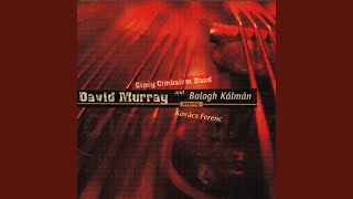 Dark Secret (David Murray)