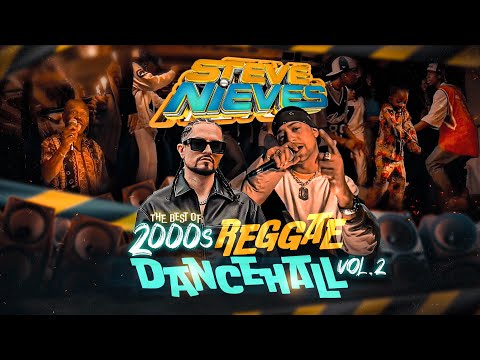Best of 2000s Reggae Dancehall Vol. 2 | Sean Paul, Vybz Kartel, Elephant Man | DJ Steve Nieves Mix
