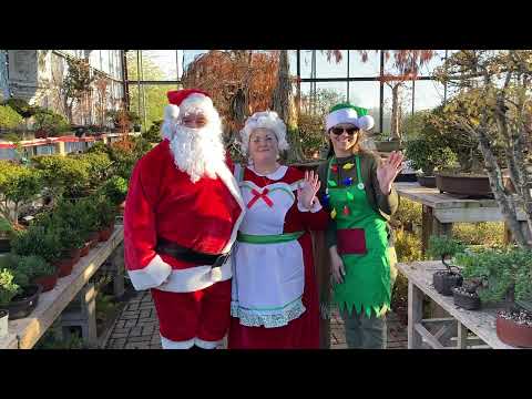 Merry Christmas from Plant city Bonsai!!