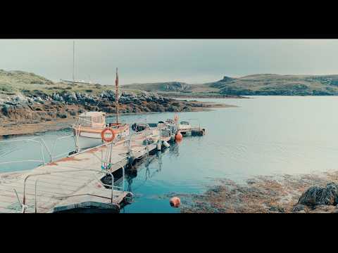 Day In The Sun - Teenage Fanclub