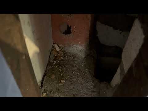 Hole in the Home Made by Rats in Plainsboro, NJ