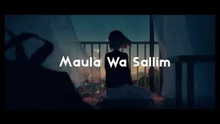 Maula Wa Sallim |LoFi|A.R. Rahman| A.R. Ameen |Tandav Studios