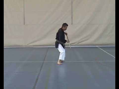 Donyu Kun Ichi Yamanni ryu Kobudo