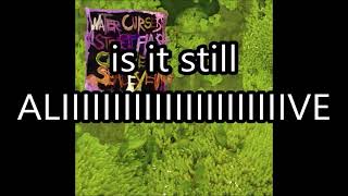 Street Flash - Animal Collective (Karaoke / Instrumental)