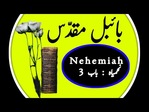 Nehemiah Chapter 3 | Free audio bible study verse by verse | audio bible study online free