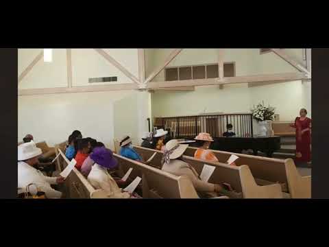 Pese 227 - Tia’i ia le fefe ia fifilemu | EFKAS TAFATOLU